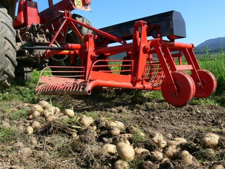 Картофелекопалка: быстрое решение по сбору картофеля